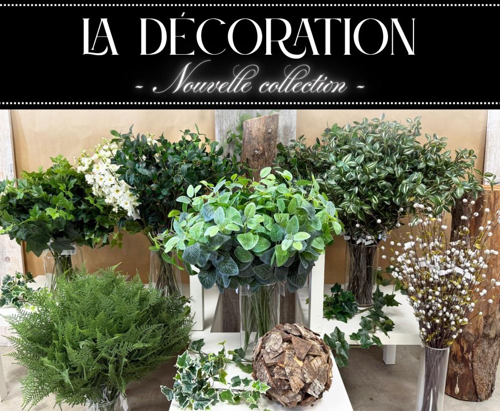 Collection plantes verte tige ddécoration